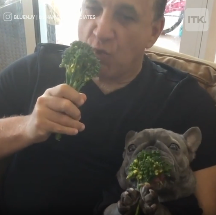 Bị khiếm thính, chú chó đáng yêu luôn giữ đồ ăn bằng “hai tay” trước khi bỏ vào miệng ảnh 2