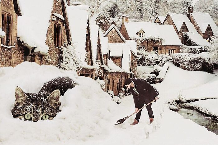 Hô biến mèo cưng thành “siêu to khổng lồ” nhờ trình Photoshop hơn người ảnh 6