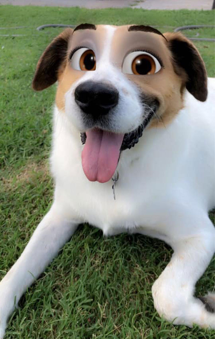 Hiệu ứng cực đỉnh của Snapchat, biến boss nhà bạn thành “ngôi sao” Disney trong chớp mắt ảnh 9