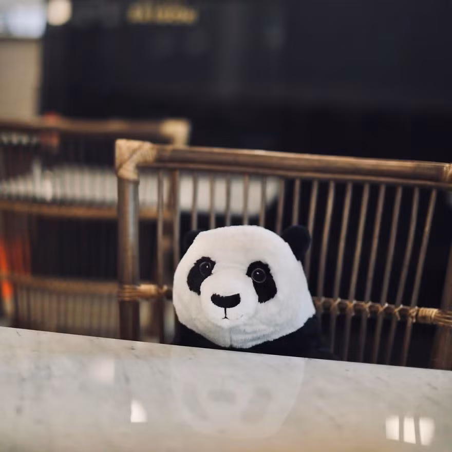 Nhà hàng Việt tại Thái Lan sử dụng nhân viên... gấu trúc để "tiếp chuyện" thực khách ảnh 2