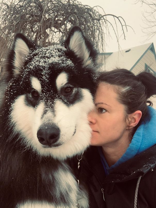 Nếu một ngày, "boss" bỗng trở nên... khổng lồ ảnh 5