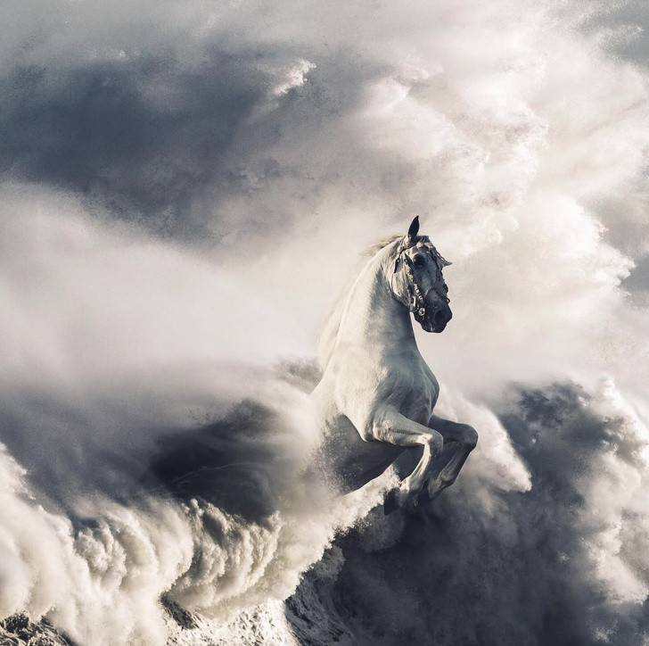 Những bức ảnh minh chứng cho “nghệ thuật là ánh trăng lừa dối“ ảnh 6