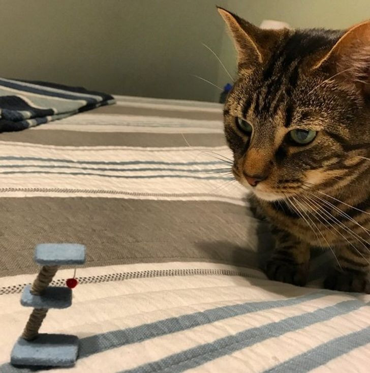 Cái kết đắng của cuộc chiến mua hàng online mà ai cũng từng một lần gặp phải ảnh 7