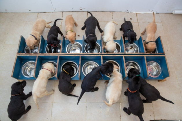 Cả thế giới thán phục với ca sinh 14 của một “bà mẹ” đặc biệt tại Anh ảnh 2