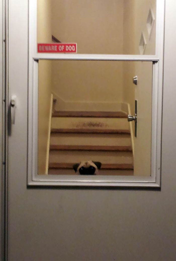 Muôn vàn biểu cảm khó đỡ của các “Boss” khi bị “Sen” dìm hàng ảnh 2