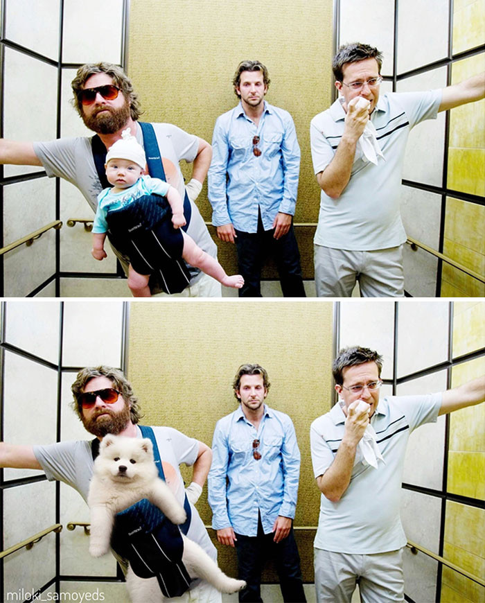 Dàn cast chính của loạt phim đình đám bị soán ngôi, “kẻ đóng thế” cưng không chịu nổi! ảnh 4