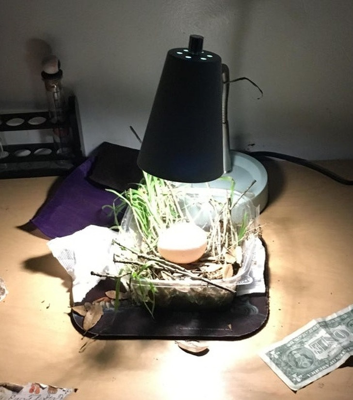 Tại sao các bà mẹ chính là những người vui nhất khi con đi học trở lại? ảnh 2