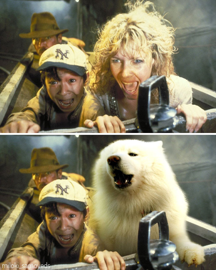 Dàn cast chính của loạt phim đình đám bị soán ngôi, “kẻ đóng thế” cưng không chịu nổi! ảnh 6