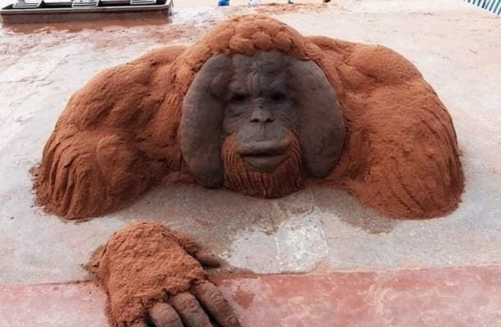 Gặp gỡ bậc thầy của những kiệt tác nghệ thuật được làm từ cát ảnh 2