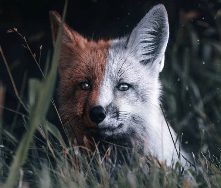 Những bức ảnh khiến bạn phải thán phục về trí tưởng tượng của người nghệ sĩ ảnh 4