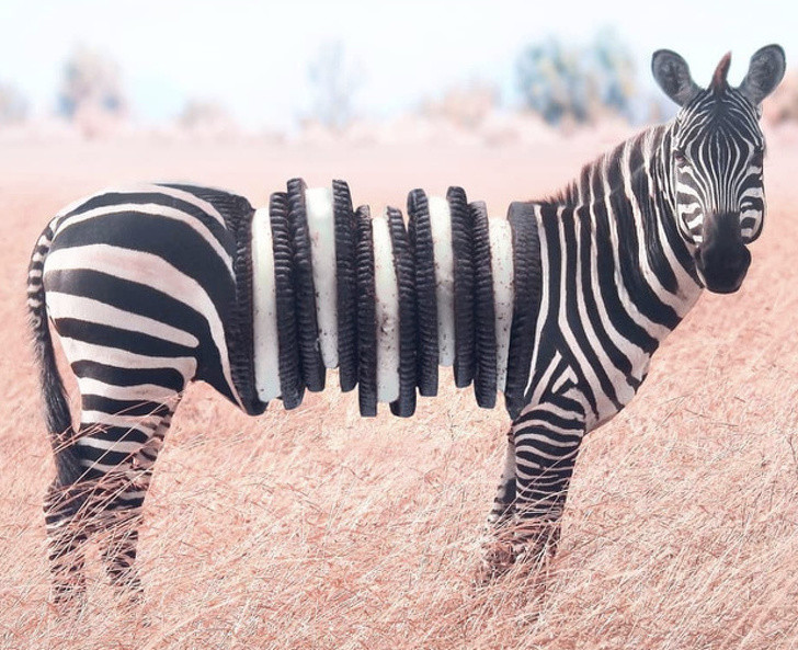 Những bức ảnh khiến bạn phải thán phục về trí tưởng tượng của người nghệ sĩ ảnh 6