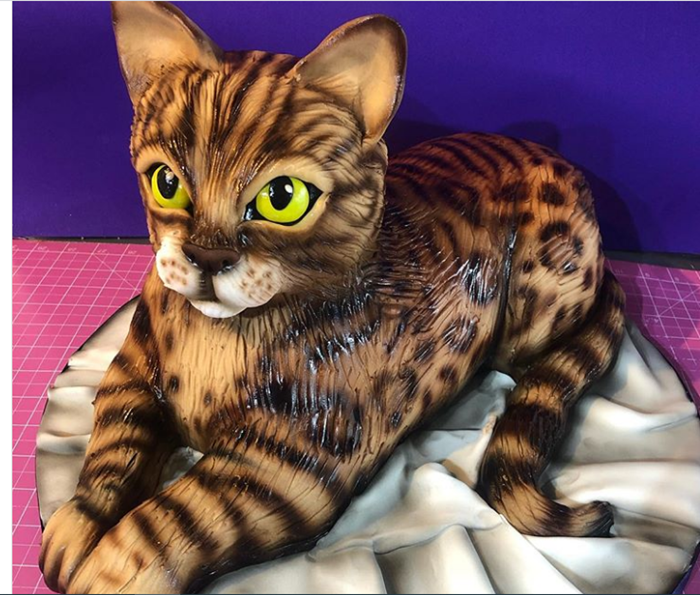 Những chiếc bánh kem độc đáo đến mức bạn chỉ muốn ngắm chứ chẳng dám ăn ảnh 3