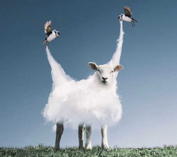 Những bức ảnh khiến bạn phải thán phục về trí tưởng tượng của người nghệ sĩ ảnh 8