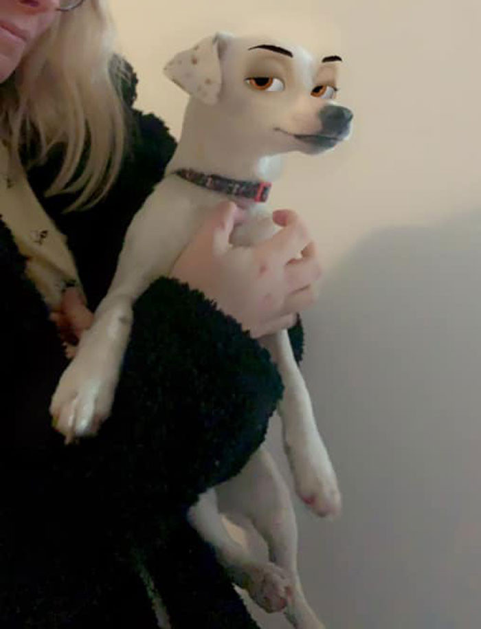 Hiệu ứng cực đỉnh của Snapchat, biến boss nhà bạn thành “ngôi sao” Disney trong chớp mắt ảnh 5