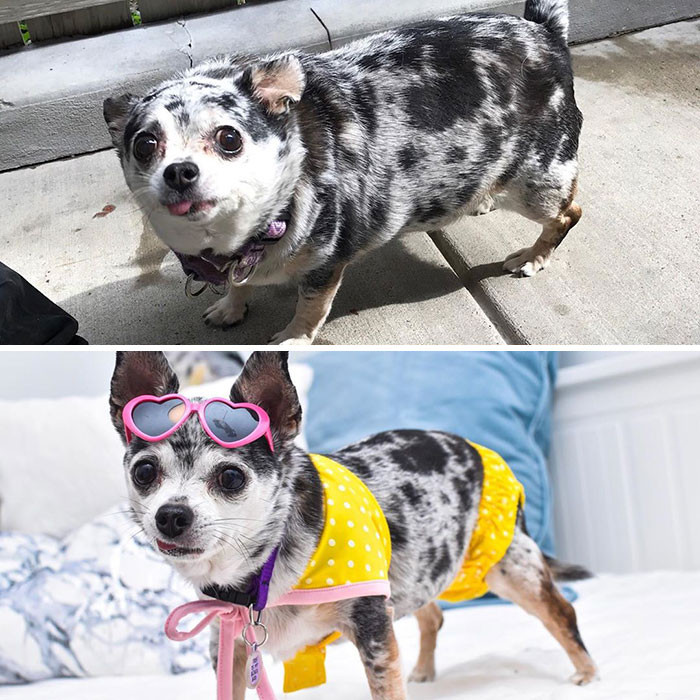 Khi đại boss “ăn kiêng” cũng lột xác ngoạn mục không đùa được đâu! ảnh 6