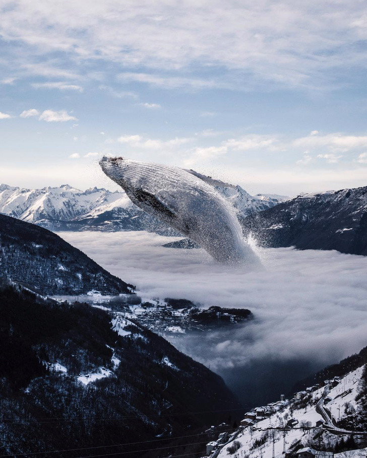 Những bức ảnh minh chứng cho “nghệ thuật là ánh trăng lừa dối“ ảnh 5