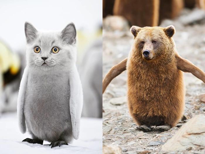 "Người ấy là ai" phiên bản có 1-0-2, đảm bảo bạn sẽ cười lăn cho xem! ảnh 3