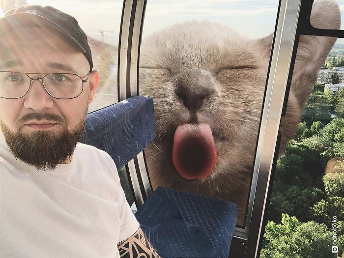 Hô biến mèo cưng thành “siêu to khổng lồ” nhờ trình Photoshop hơn người ảnh 8