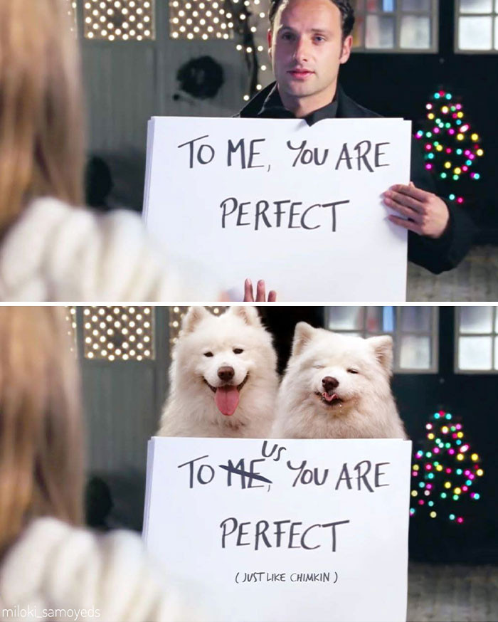 Dàn cast chính của loạt phim đình đám bị soán ngôi, “kẻ đóng thế” cưng không chịu nổi! ảnh 2