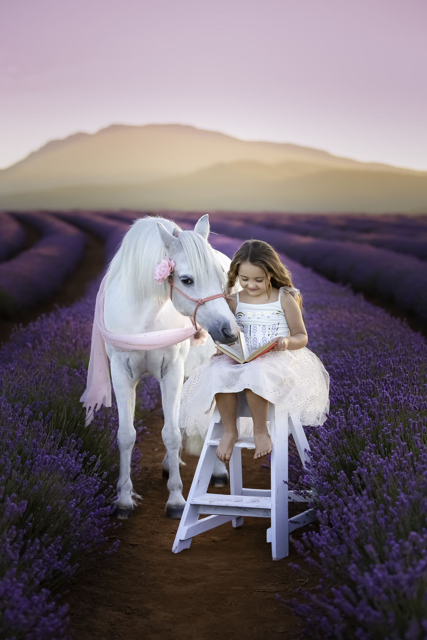 Theo chân "boss" cưng lạc vào mê cung tím huyền bí thơm ngát miền Nam nước Úc ảnh 1