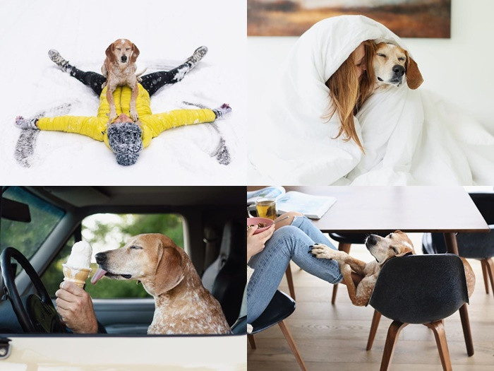 Cuồng chân vì ngồi nhà thì chớ, ngắm loạt ảnh check-in của “boss” càng thêm GATO ảnh 7