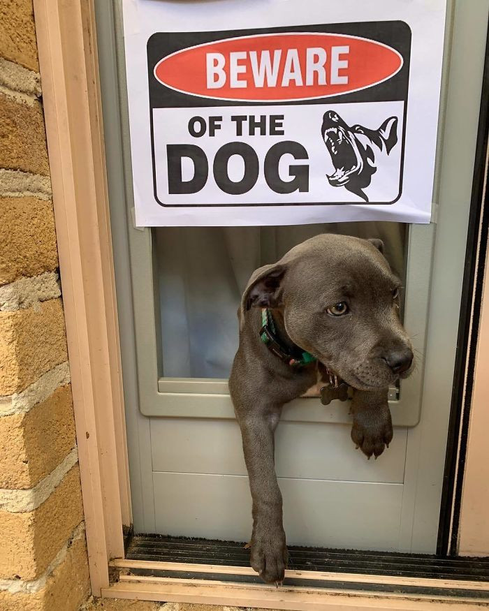 Muôn vàn biểu cảm khó đỡ của các “Boss” khi bị “Sen” dìm hàng ảnh 3