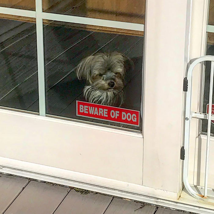 Muôn vàn biểu cảm khó đỡ của các “Boss” khi bị “Sen” dìm hàng ảnh 5