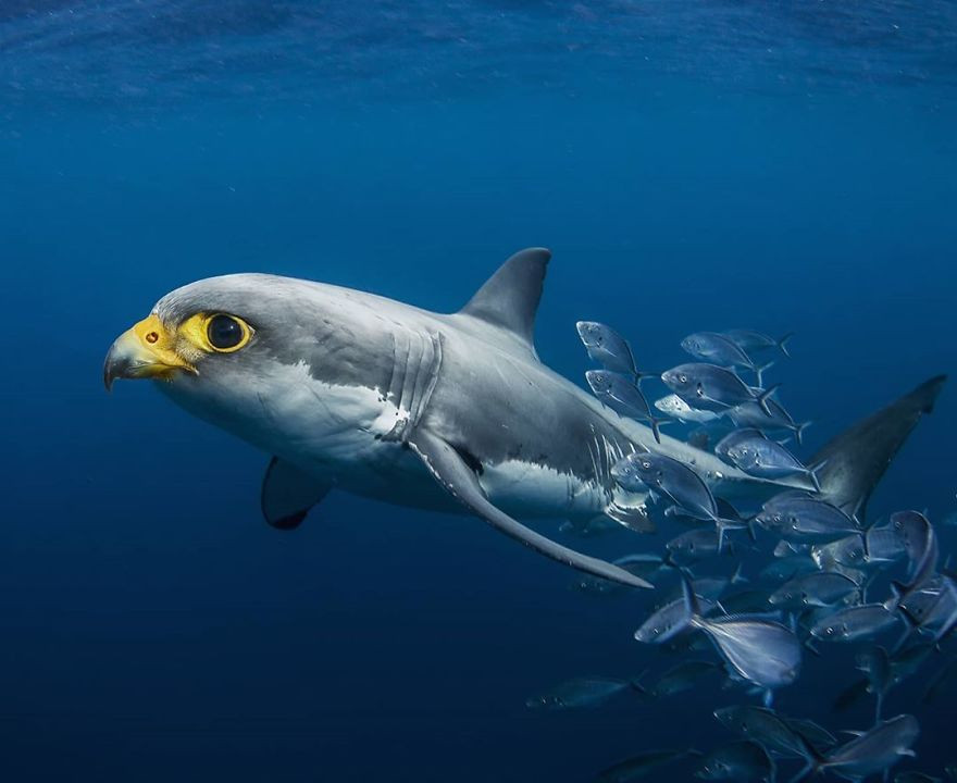 "Người ấy là ai" phiên bản có 1-0-2, đảm bảo bạn sẽ cười lăn cho xem! ảnh 1