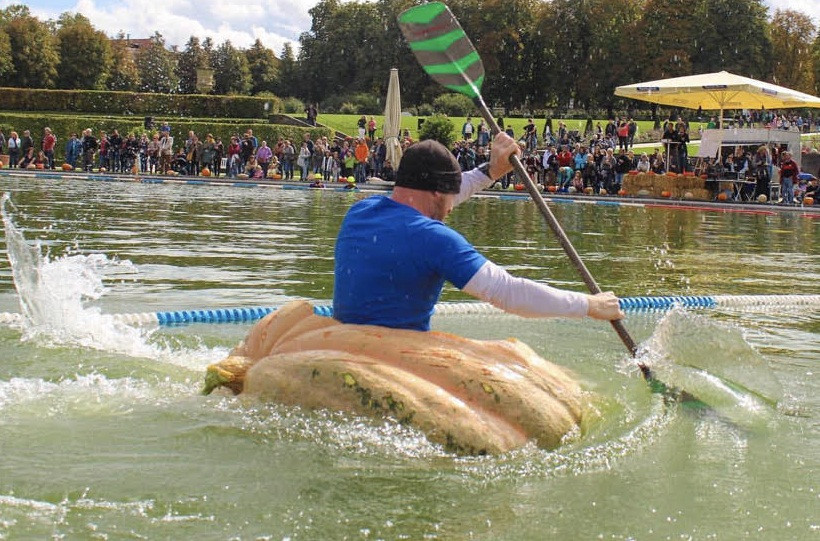 Nước Đức đâu chỉ có xúc xích, còn nhiều chuyện lạ chắc chắn sẽ khiến bạn bất ngờ ảnh 7