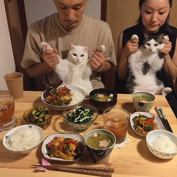 Ngây ngất với cặp đôi mèo dễ thương nhất quả đất ảnh 1