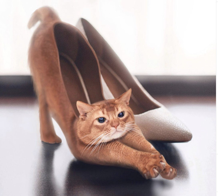 Những bức ảnh khiến bạn phải thán phục về trí tưởng tượng của người nghệ sĩ ảnh 3