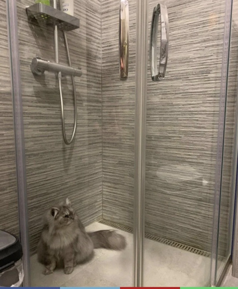 Khi “đại boss” cùng hưởng ứng lời kêu gọi “ở nhà mùa dịch“ ảnh 1