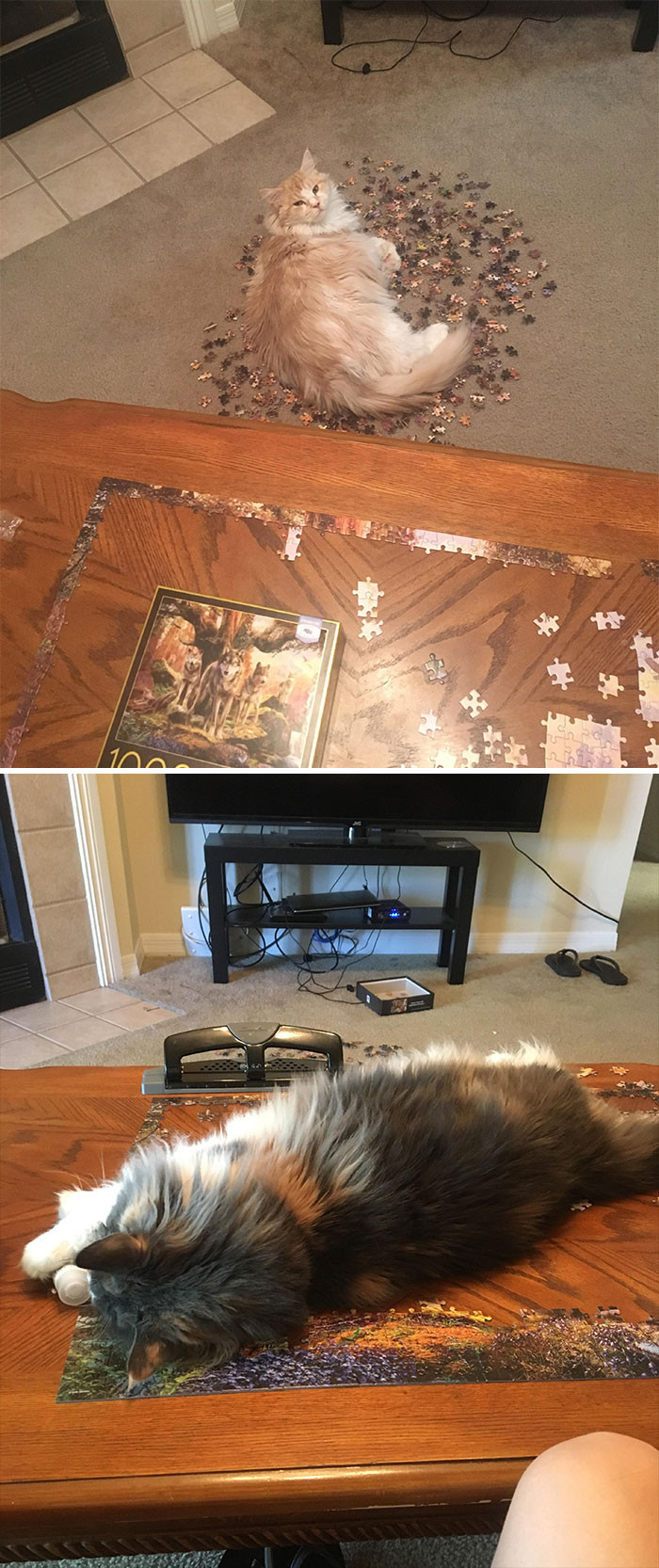 Phá tan nát thành quả xếp hình của “sen” chính là thú vui ưa thích của các “boss" ảnh 1