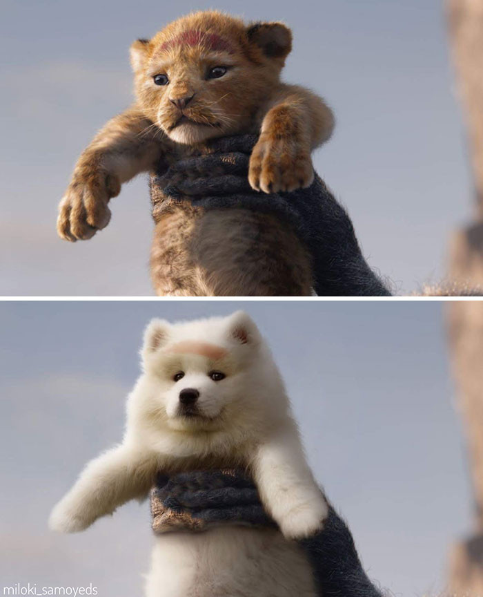 Dàn cast chính của loạt phim đình đám bị soán ngôi, “kẻ đóng thế” cưng không chịu nổi! ảnh 5