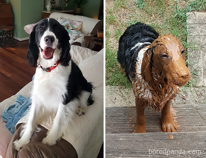 Nhất quỷ nhì ma thứ ba học trò, vậy thứ tư chắc chắn là "đại boss" rồi! ảnh 1