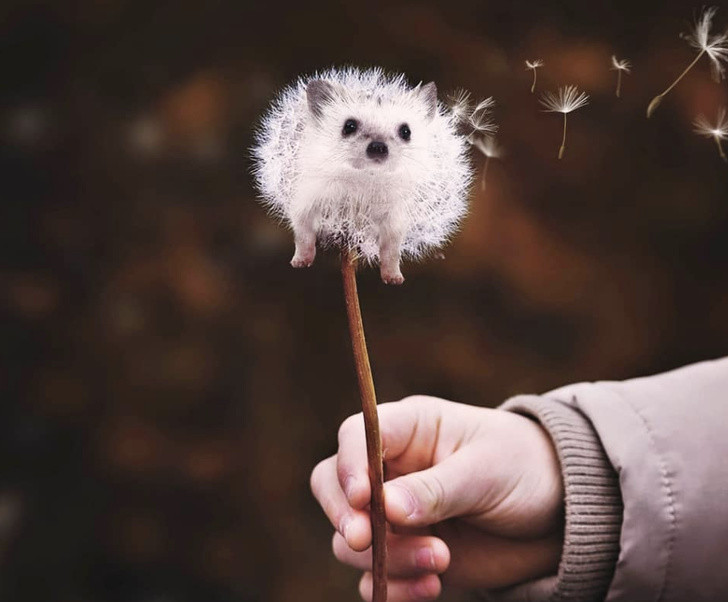 Những bức ảnh khiến bạn phải thán phục về trí tưởng tượng của người nghệ sĩ ảnh 1