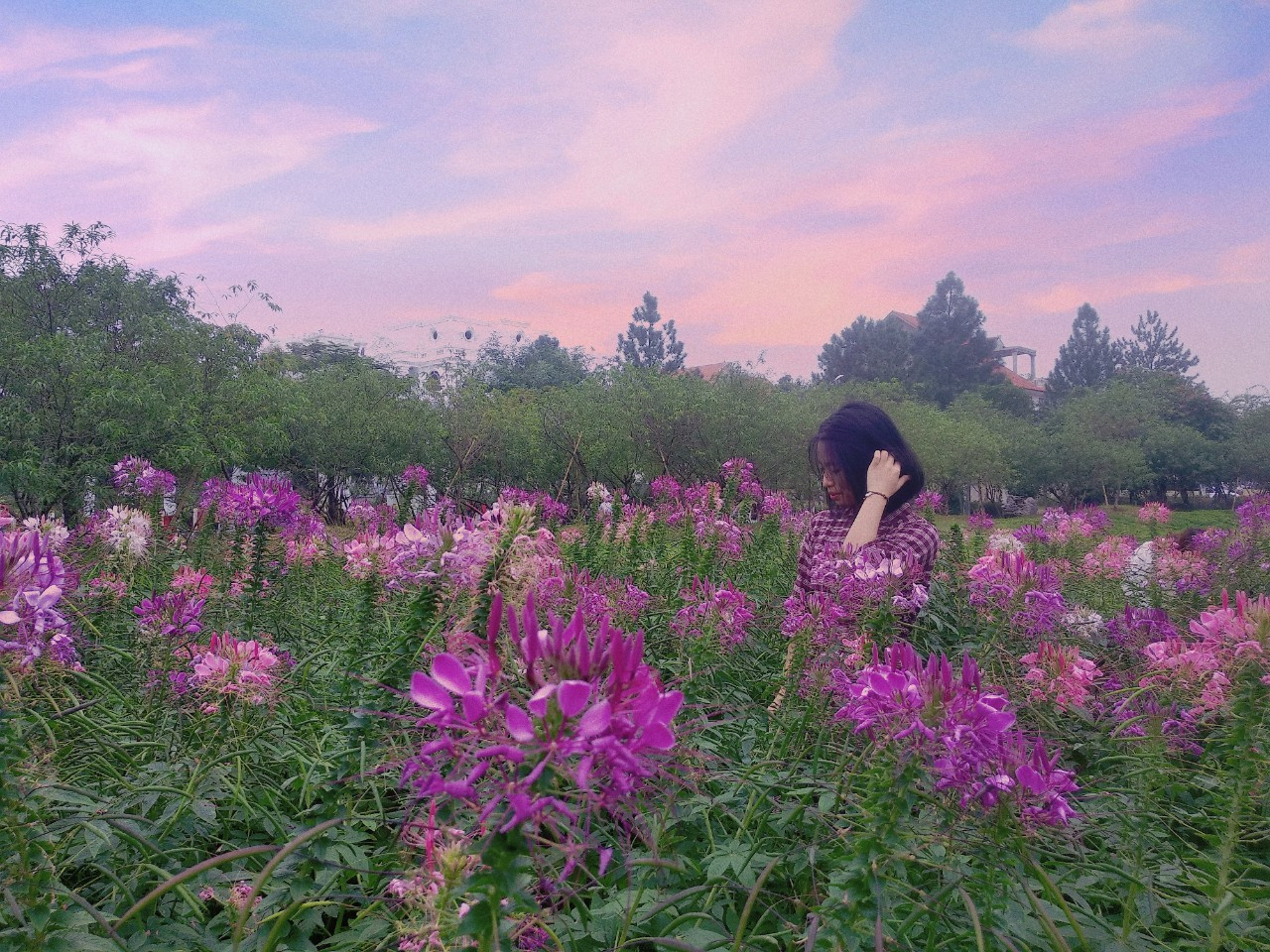 Đi đâu để cảm thấy “rùng hết cả mình” trong dịp lễ hội Halloween tại Hà Nội? ảnh 4