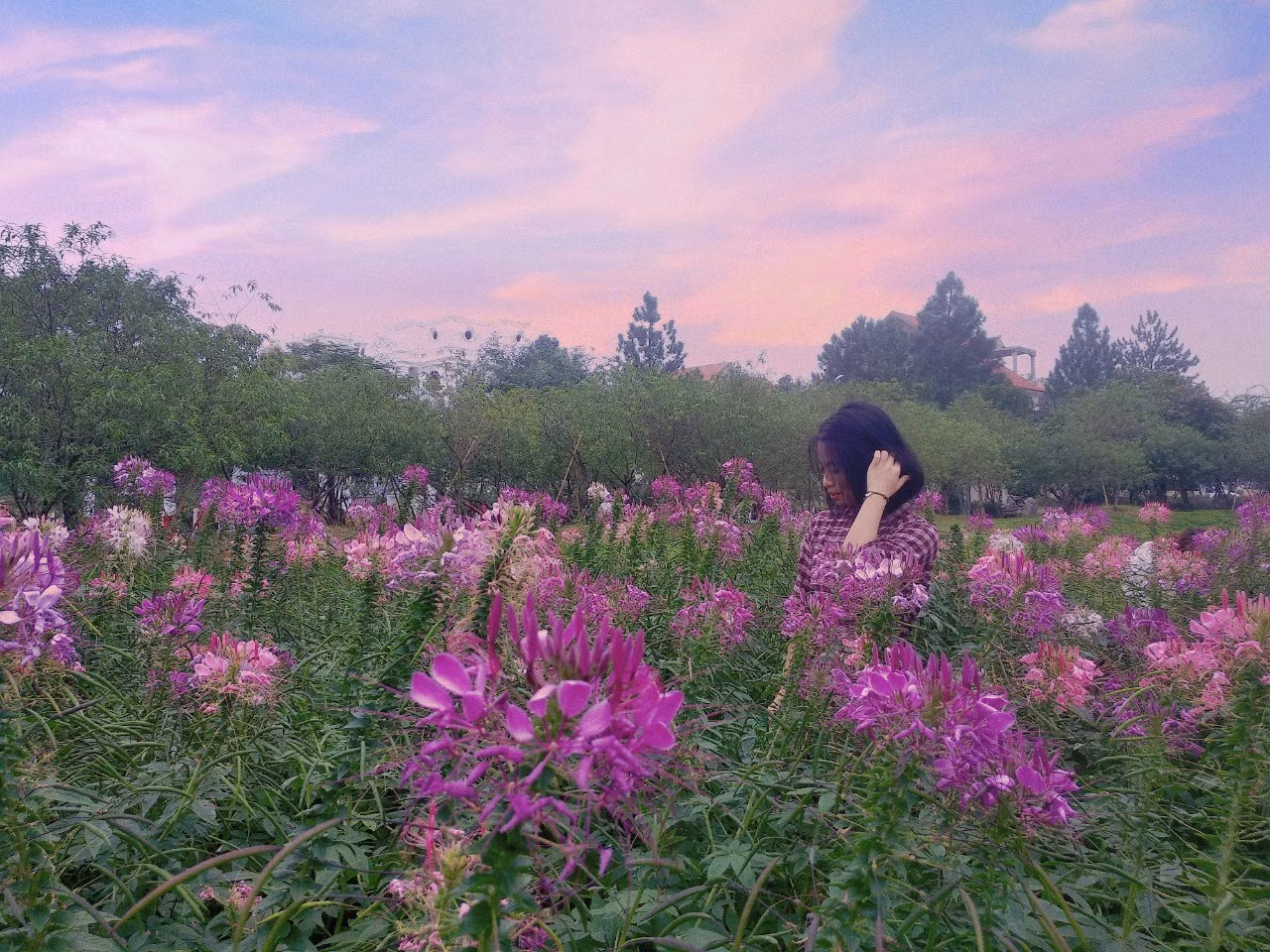Đi đâu để cảm thấy “rùng hết cả mình” trong dịp lễ hội Halloween tại Hà Nội? ảnh 4