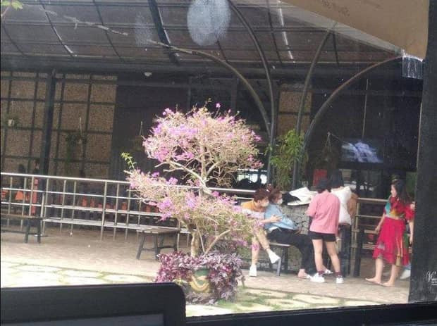 Hình ảnh của cặp đôi tại Đà Lạt. Lộ ảnh Chi Dân - Lan Ngọc bên nhau, showbiz Việt còn bao nhiêu cặp đang bí mật hẹn hò? ảnh 3