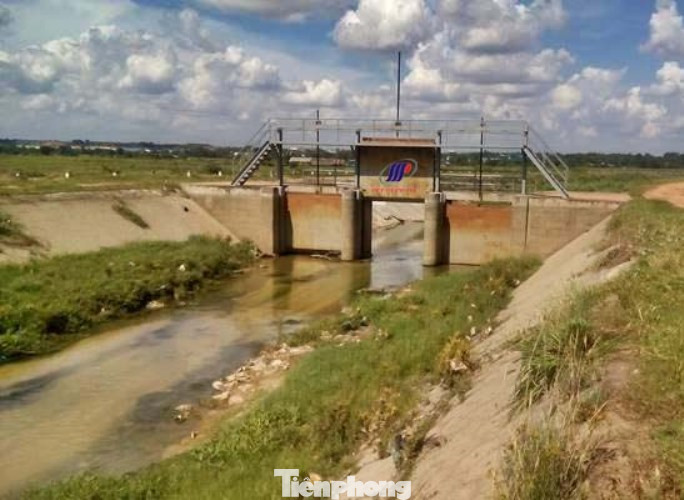 Lập đoàn kiểm tra hiện tượng 'tuyết' phủ trắng sau mưa ở Bình Dương ảnh 6