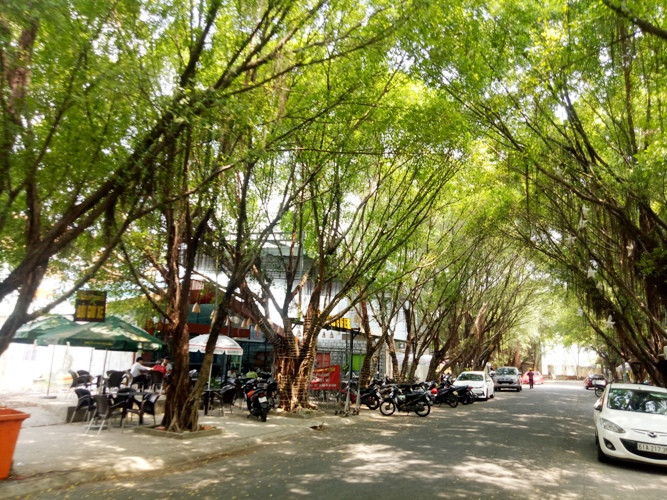 TPHCM ngày đầu sau cách ly xã hội: Hàng quán tấp nập, nhiều người 'quên' khẩu trang ảnh 21