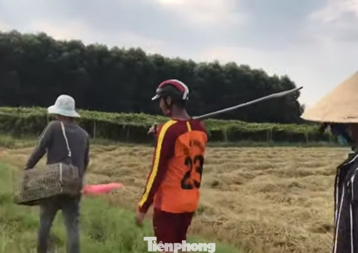 Doanh nghiệp tạm nghỉ vì dịch, công nhân đua nhau ra đồng bắt chuột ảnh 9