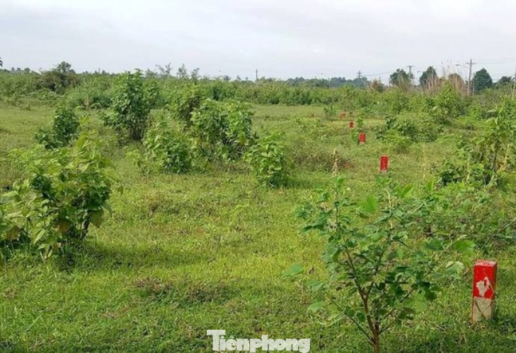 Công an mời ‘ông lớn’ BĐS đến làm việc liên quan dự án hàng nghìn tỷ ở Bình Dương ảnh 3