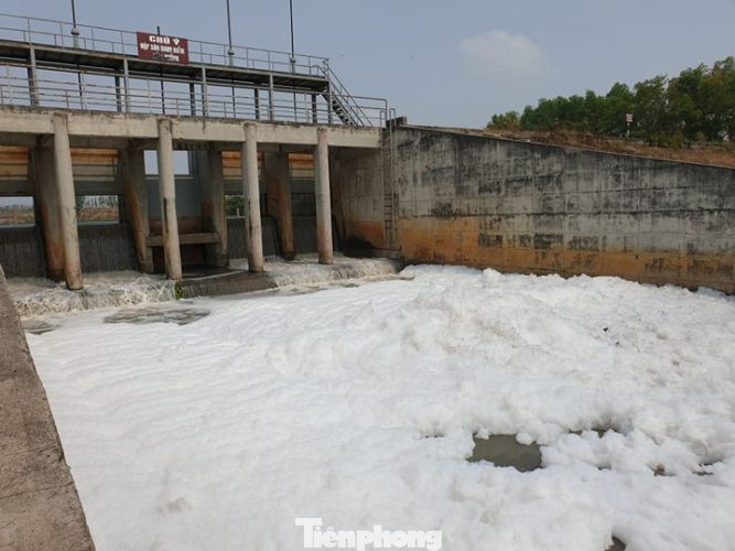 Lộ nguyên nhân khiến hàng loạt kênh, suối ở Bình Dương bị phủ 'tuyết trắng' ảnh 2