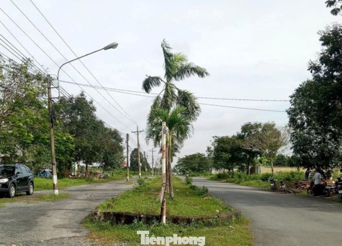 Công an mời ‘ông lớn’ BĐS đến làm việc liên quan dự án hàng nghìn tỷ ở Bình Dương ảnh 1