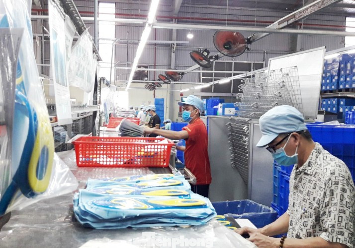 Bình Dương triển khai 'nhiệm vụ kép' vượt khó thời dịch COVID-19 ảnh 2