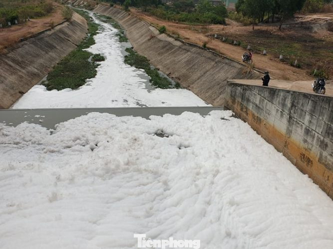 Kỳ lạ: 'Tuyết' phủ trắng suối ở Bình Dương sau cơn mưa lớn ảnh 6