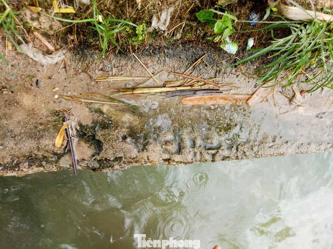 Hố nước 'không đáy', ngàn người múc cùng lúc không hết ảnh 5