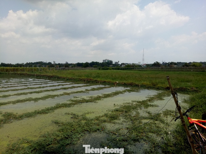 Hố nước 'không đáy', ngàn người múc cùng lúc không hết ảnh 6