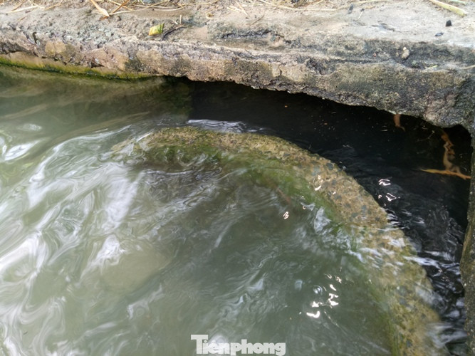 Hố nước 'không đáy', ngàn người múc cùng lúc không hết ảnh 4